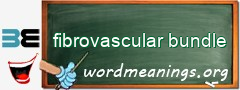 WordMeaning blackboard for fibrovascular bundle